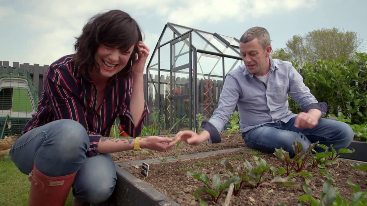 Carrot Growing Guide- GROW COOK EAT