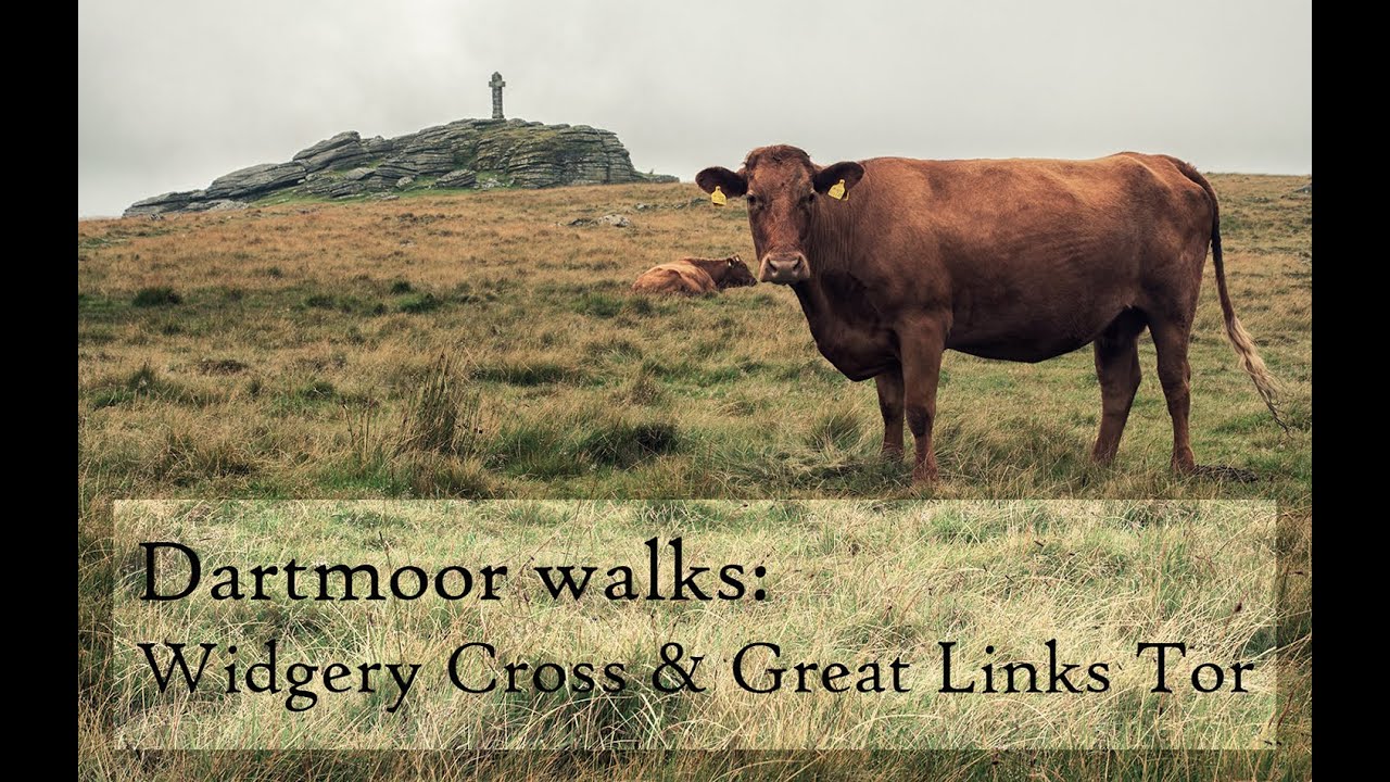 Dartmoor walks: Widgery Cross and Great Links Tor