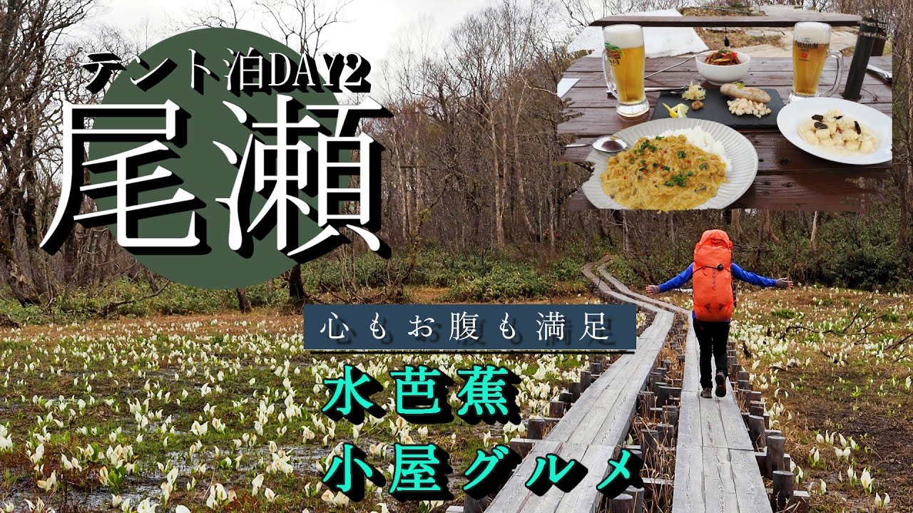 【尾瀬】水芭蕉・山小屋グルメ紹介｜見晴テント泊その２｜2025.5.24-25oze