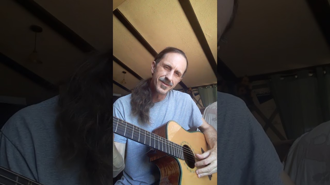 Washburn d46sce repair and play