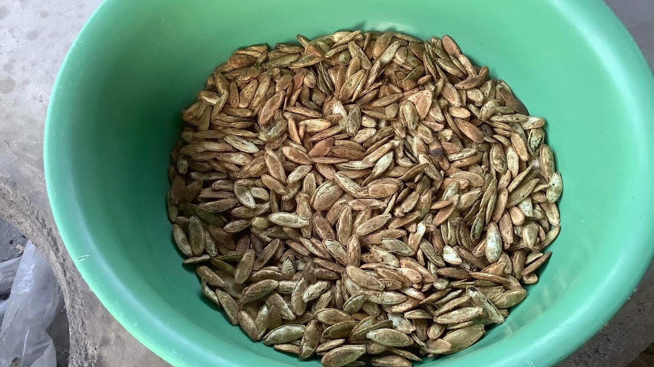 Como tostar semillas de calabaza