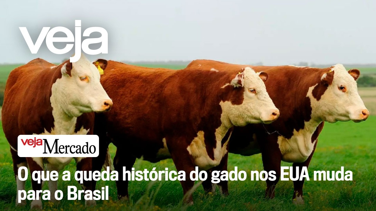 O que a queda histórica do gado nos EUA muda para o Brasil