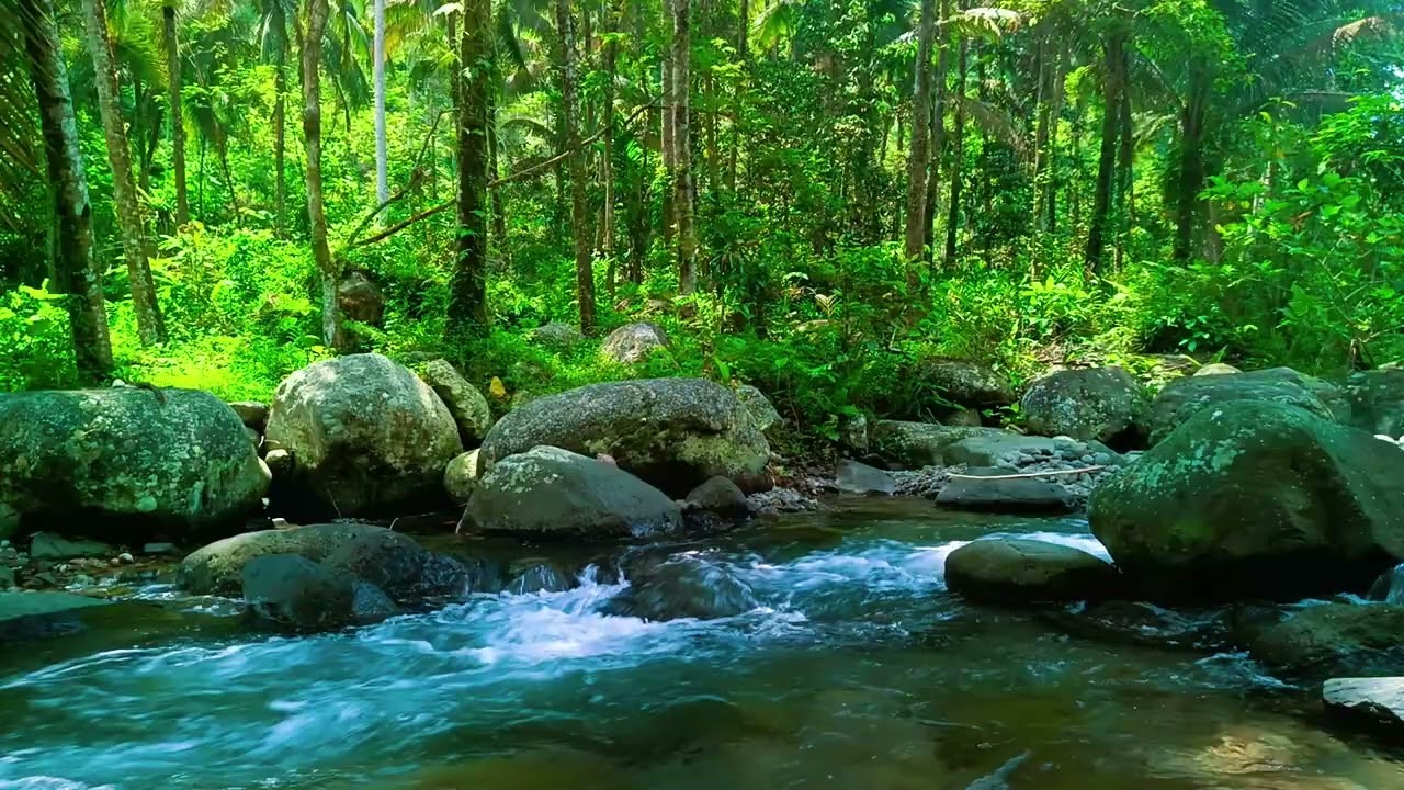 Gentle HD River White Noise Tranquil ASMR for Long, Uninterrupted Sleep