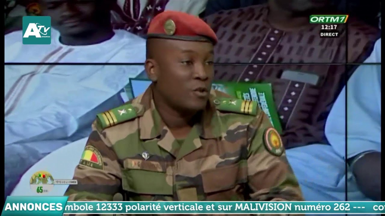 Défilé Militaire de la fête des armées maliennes