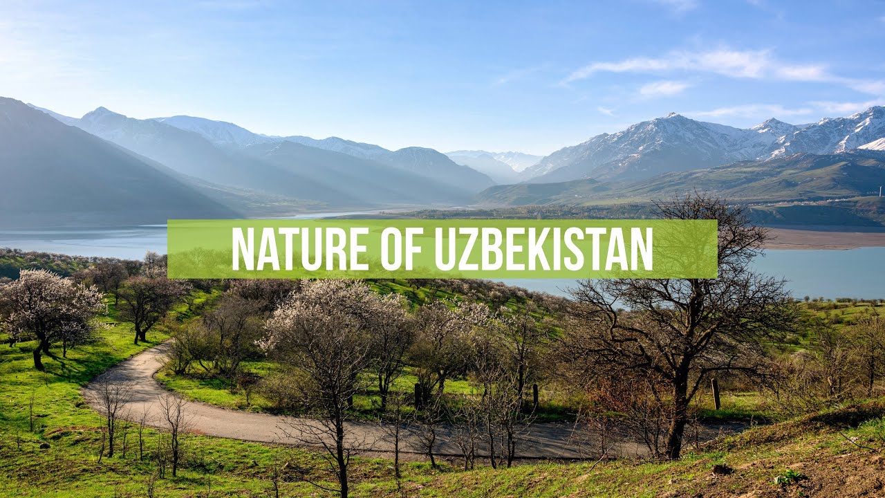 Nature of Uzbekistan