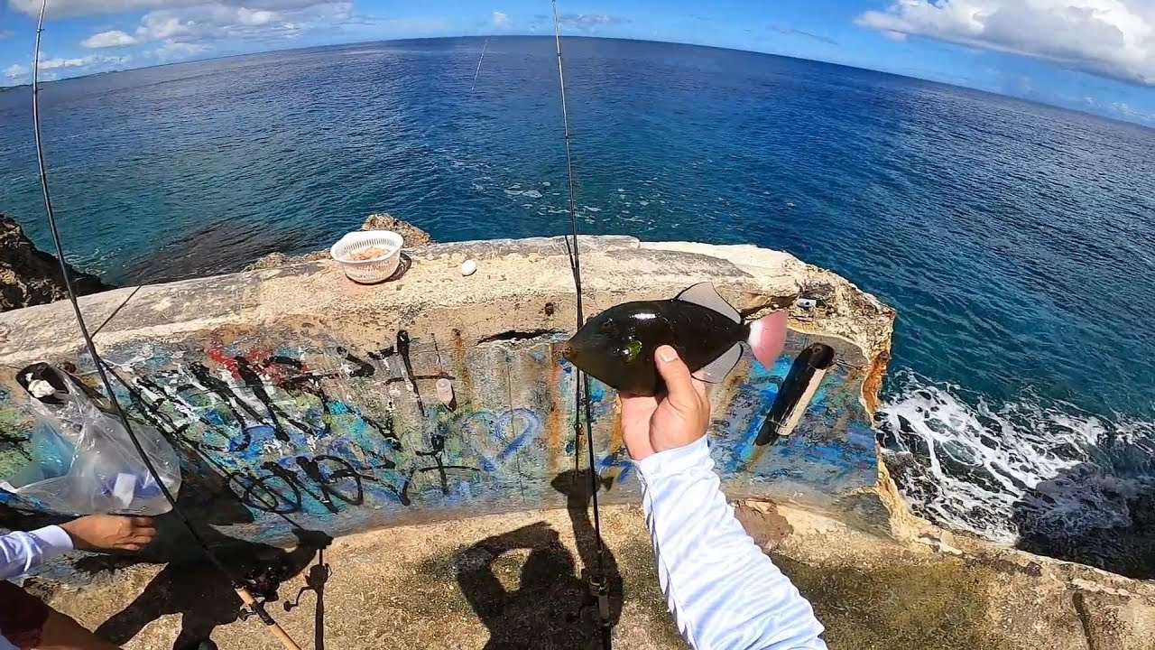 You Won’t Believe Our Friday Sesh at Oka Point!