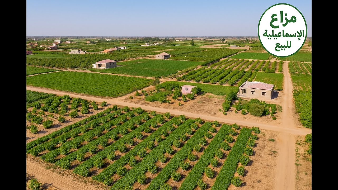 🌴 تقسيم أراضٍ زراعية داخل كمبوند سكني زراعي بالإسماعيلية | تسهيلات فى السداد وخدمات أمن وحراسة