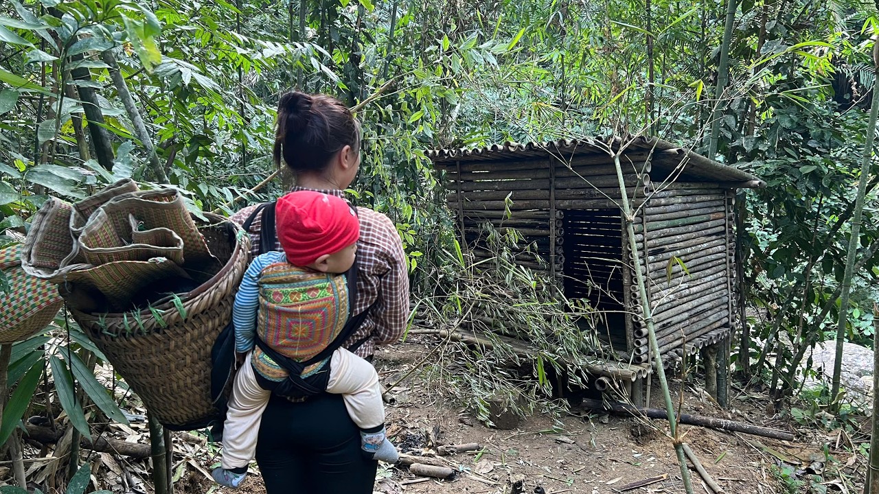 She Found an Abandoned Bamboo House in the Forest While Carrying Her Baby – A Survival Story