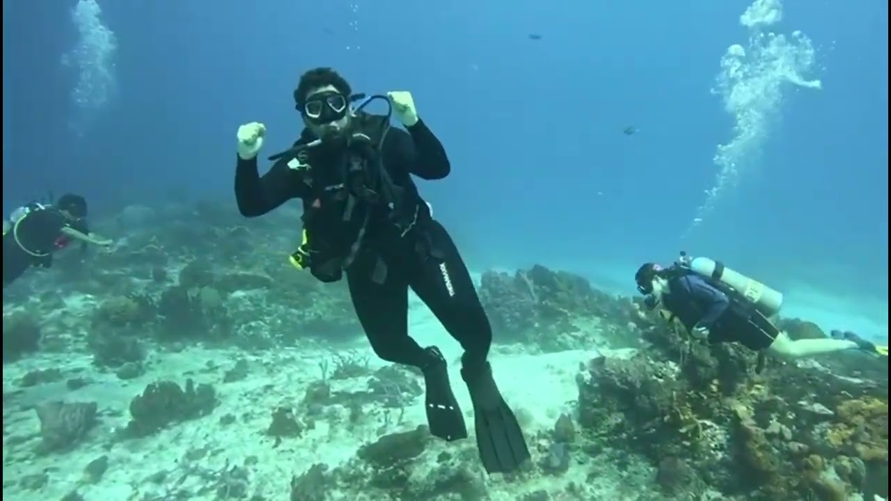 seres de Cozumel, HD