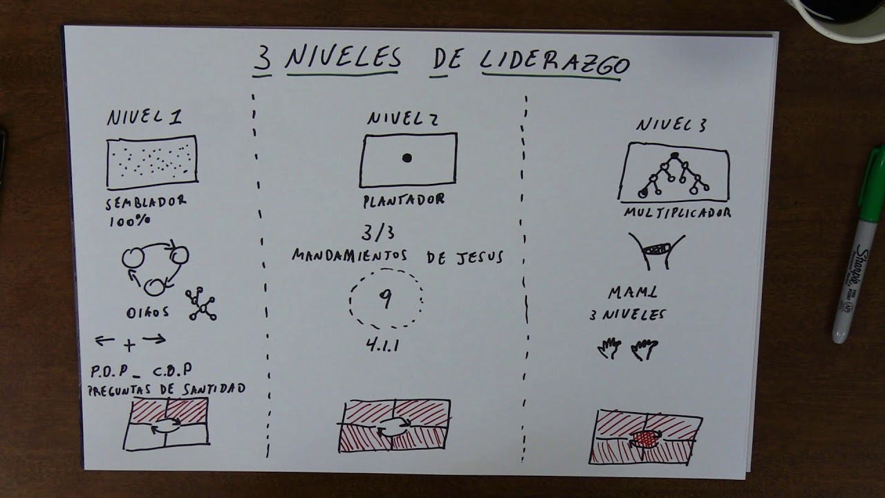 3 Niveles de Liderazgo