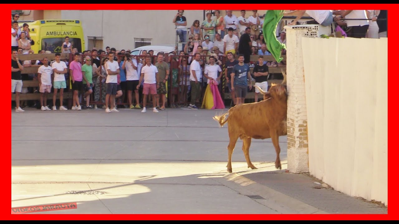 MALLEN ( ZARAGOZA ) TARDE VACAS EN CALLE ( SABADO 15 JULIO 2023 ) GANAD.ARRIAZU