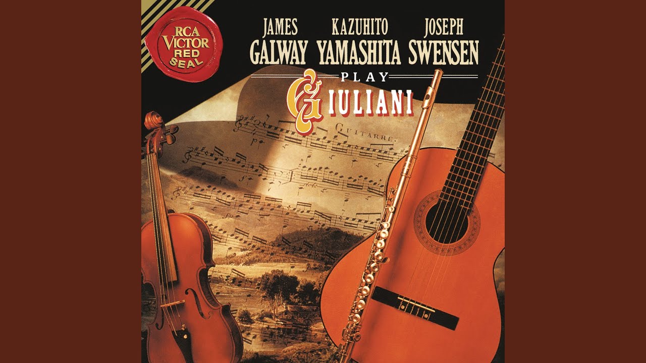 Duo Concertante Violin and Guitar in E Minor, Op. 25: I. Maestoso
