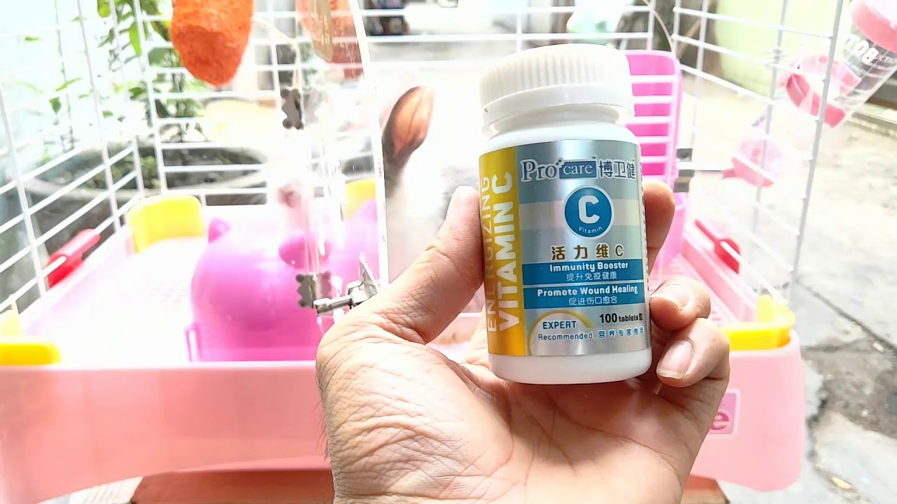 THỎ BỌ: VI&Ecirc;N VITAMIN C PRO CARE DR.BUNNY d&agrave;nh cho THỎ, BỌ