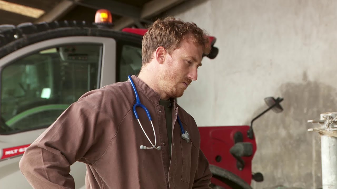 Reportage clinique éleveur : gestion traitement mammite colibacilaire