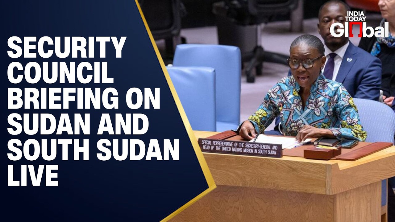 LIVE: UN Security Council Meets on Sudan and South Sudan Reports