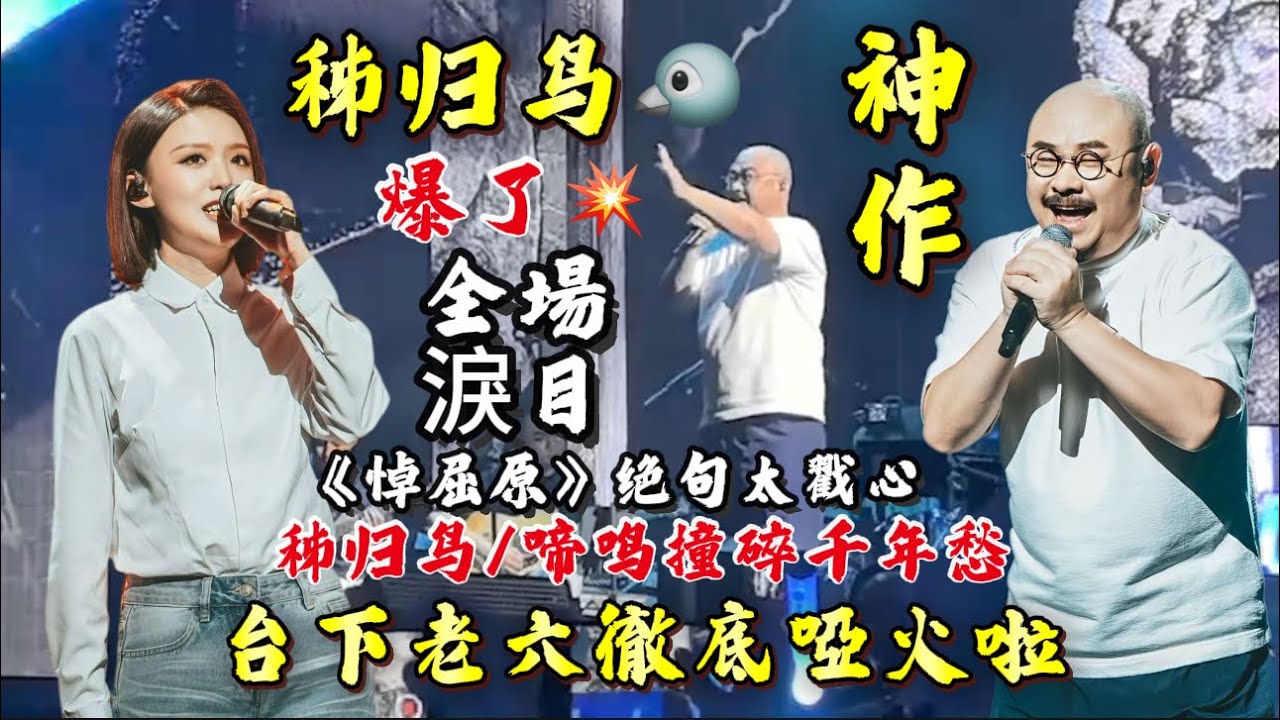 唢呐破空长鸣炸场/刀郎新曲《秭归鸟》藏着对屈原的千年呐喊/把“秭归啼血”唱进旋律/太戳心#刀郎宜昌演唱會 