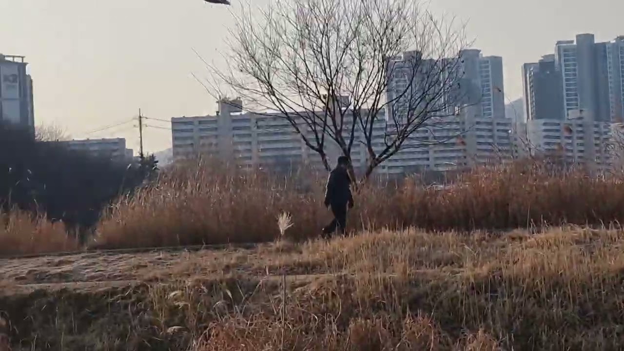 2026년 2월 20일
