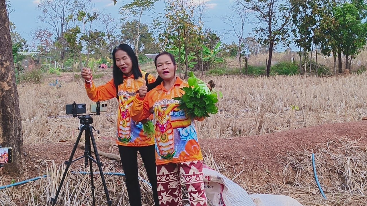 เช้านี้ถึงกับตะลึงมาดามมาเก็บผัก#ป้าแต๋นชาเเนล 