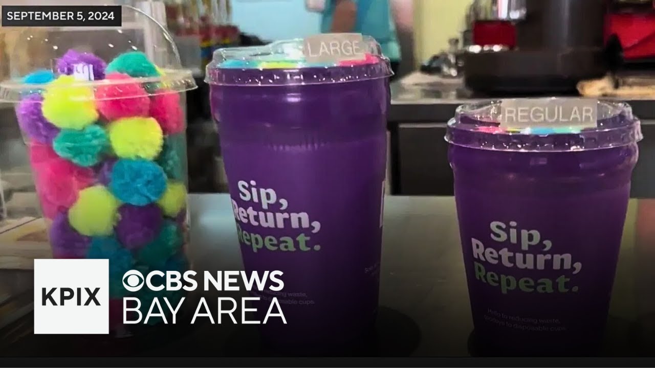 Petaluma reusable purple cup project ends with over 200,000 cups avoiding landfill