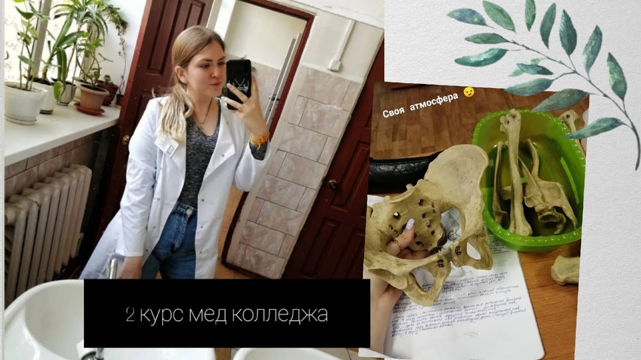 какие предметы на 2 курсе медицинского колледжа? | будет ли практика?