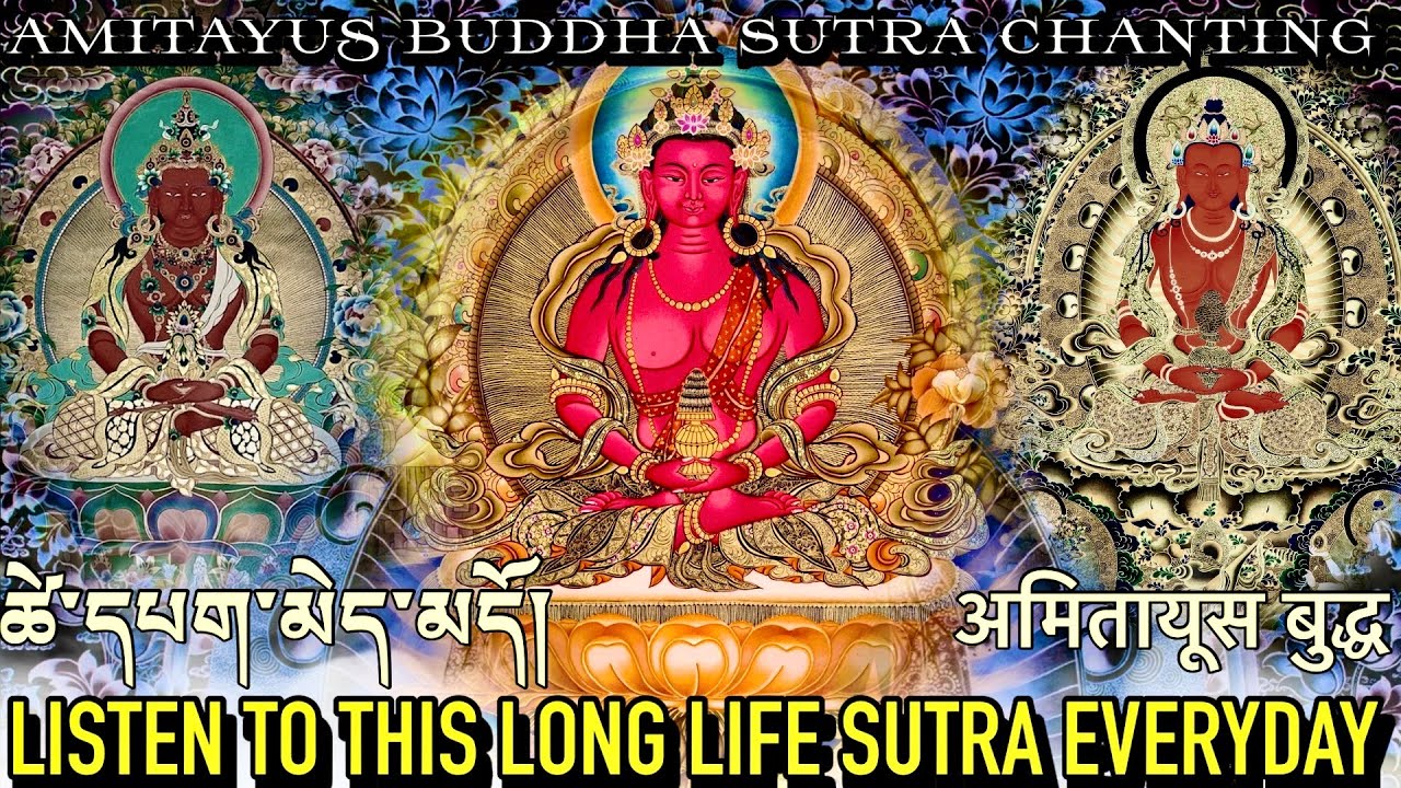 ☸️Listen To This Powerful Long Life Sutra Everyday|ཚེ་དཔག་མེད| Longevity Sutra-Amitayus Buddha Daily