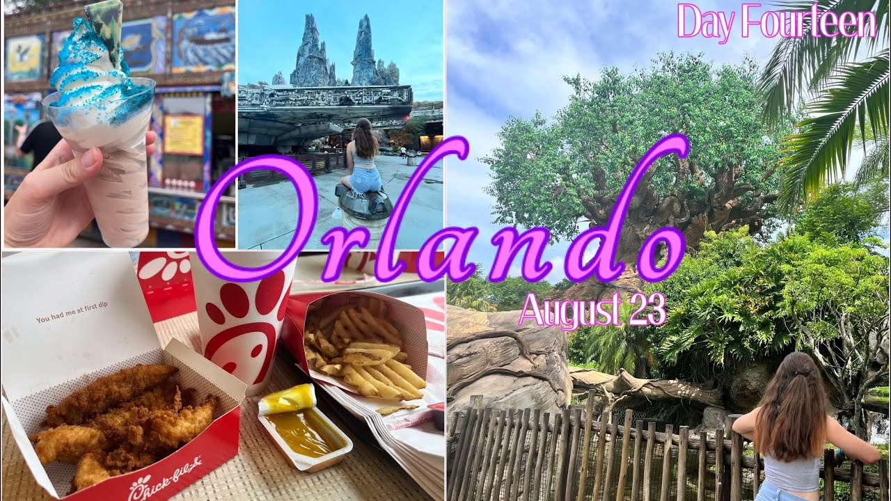 Animal Kingdom, Hollywood Studios, Chick-fil-A & Target | DAY FOURTEEN | Florida August 23