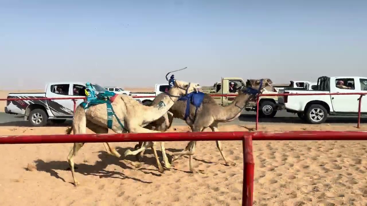 ش 9 بكار مفاريد الجذابة ل فهد عبدالله الجروح الشمري