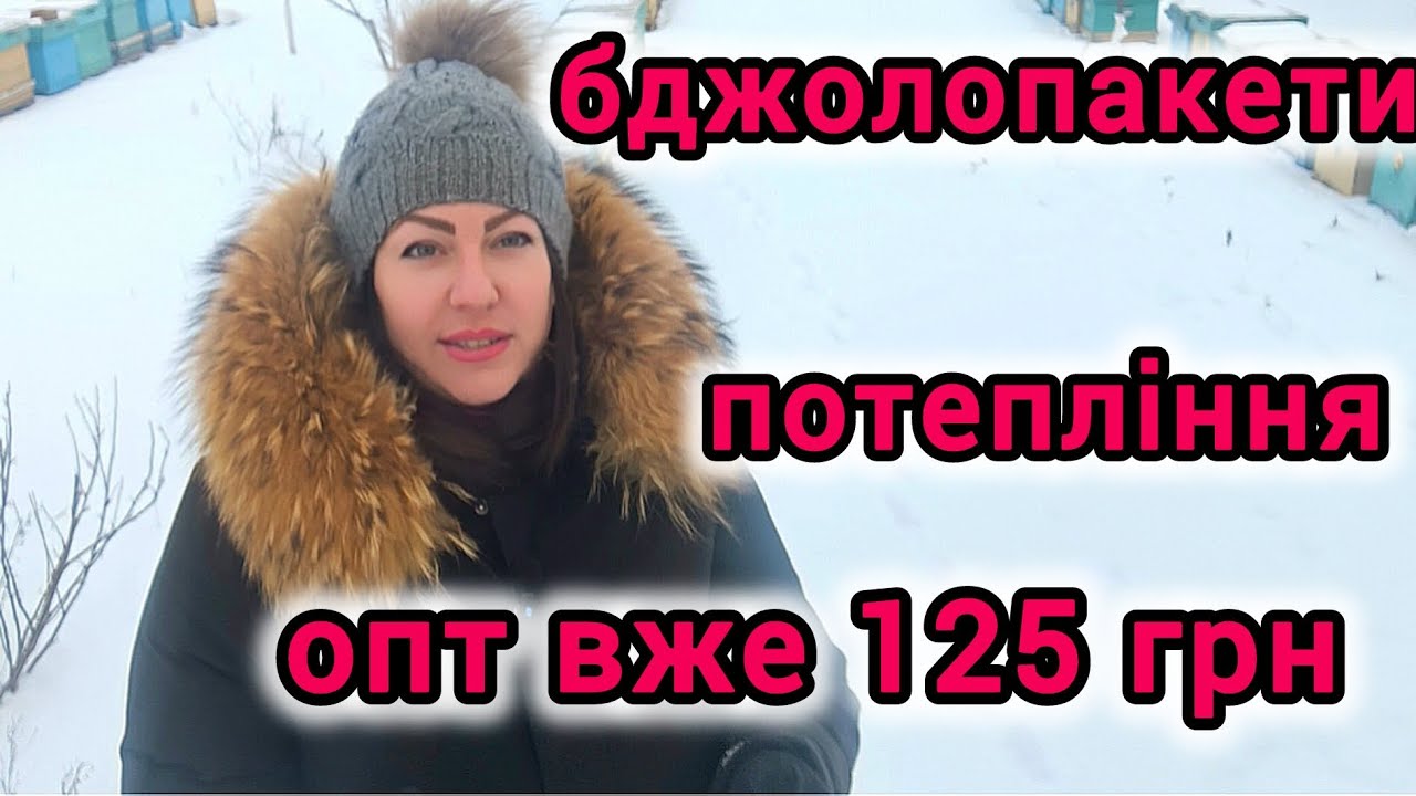 ШУМ бджільництва січень 2026 року. Чим живе галузь.