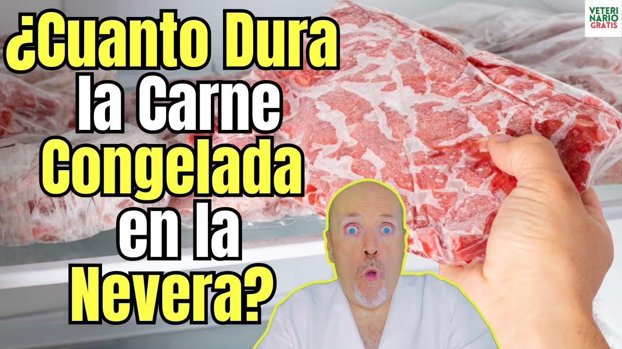 😱 ¿CUANTO DURA LA CARNE CONGELADA EN LA NEVERA? 😱