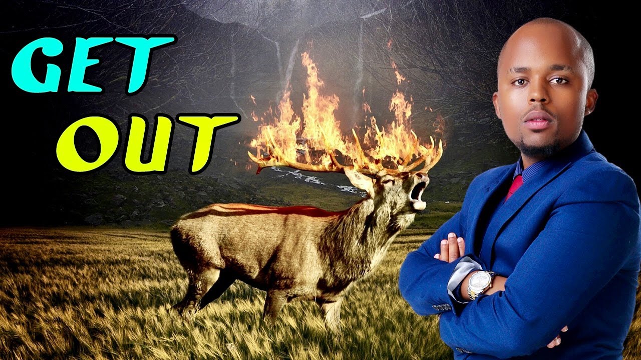 PROPHETIC WORD - GOD IS MOVING YOU OUT OF YOUR WILDERNESS