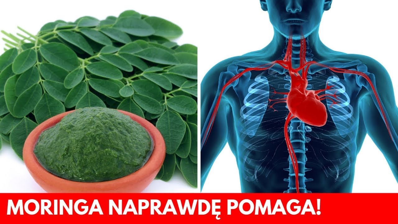 Moringa (drzewo ŻYCIA) &ndash; Jak może Ci pom&oacute;c? SPRAWDŹ