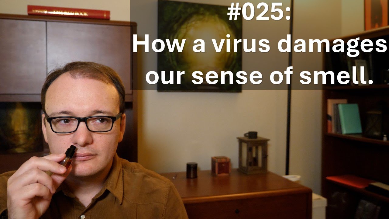 025 - How a virus damages our sense of smell.