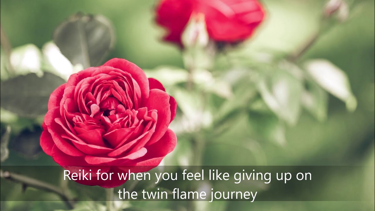 Reiki for when you feel like giving up on the twin flame journey