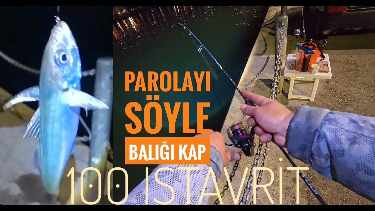 100 istavrit Az balıklı gecede 0,3 ve 0,5 gr balığı buldu #lrf #istavrit #fishing #balıkavı