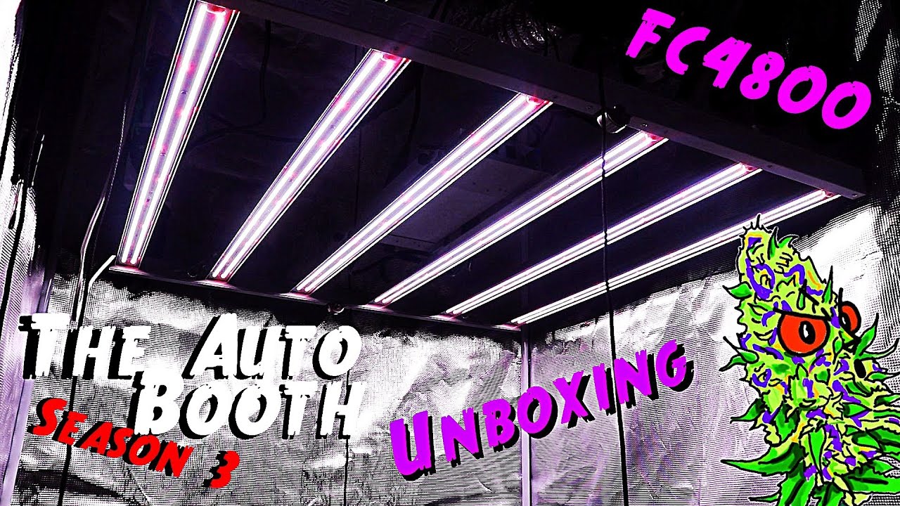 The Auto Booth S3 Ep. 3 | 4 Strain Autoflower Grow | Unboxing Mars Hydro FC4800