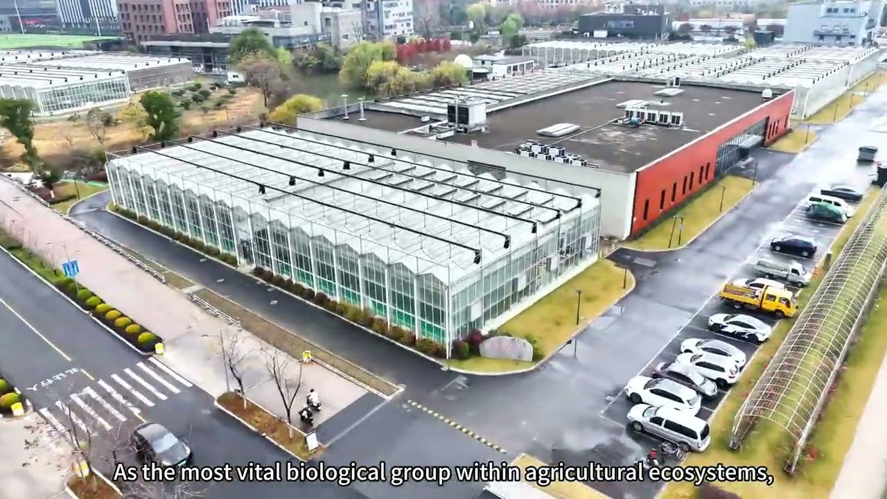New 3D Plant Phenotyping System designed by Zhejiang University