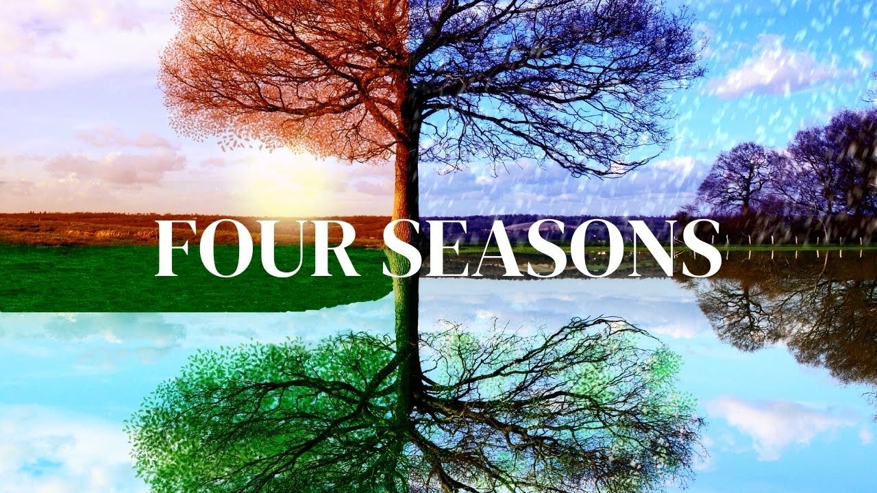 Relaxing Seasons - Watch The Weather Change In All Four Seasons With Relaxing Music