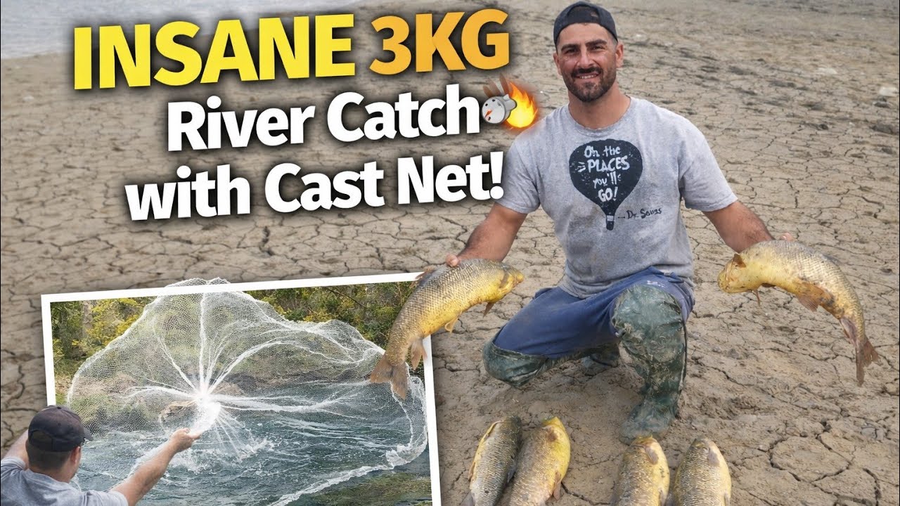 👉 INSANE 3KG River Fish Catch! Cooked Over Charcoal in the Wild 🔥🐟