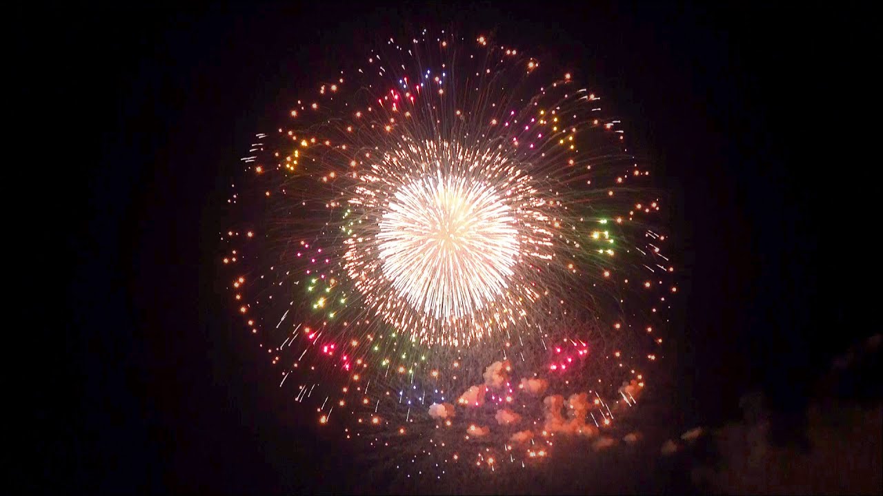 2014 Huge Shells Collection in Japan