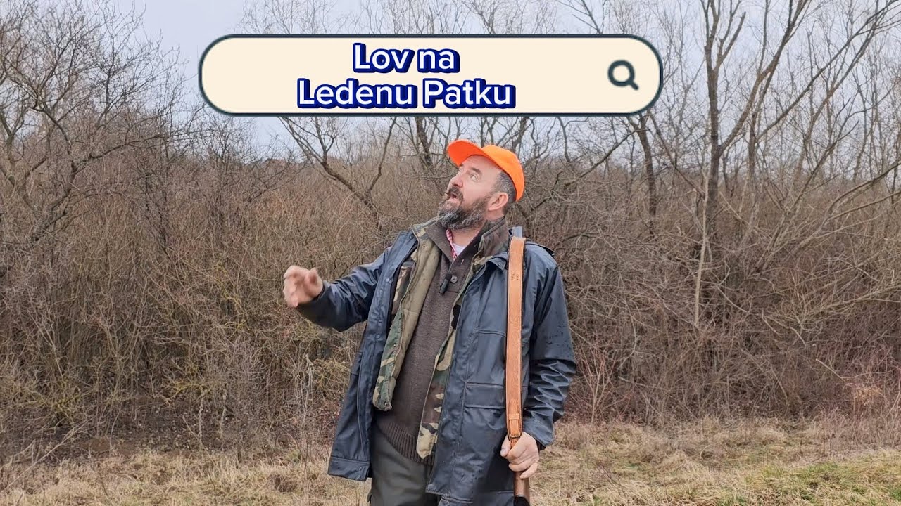 Lov na Ledenu Patku