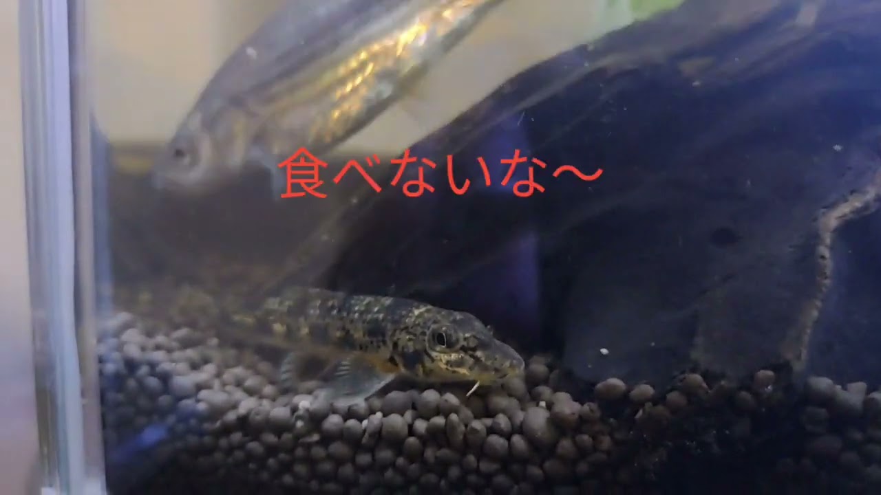 2026年3月2日