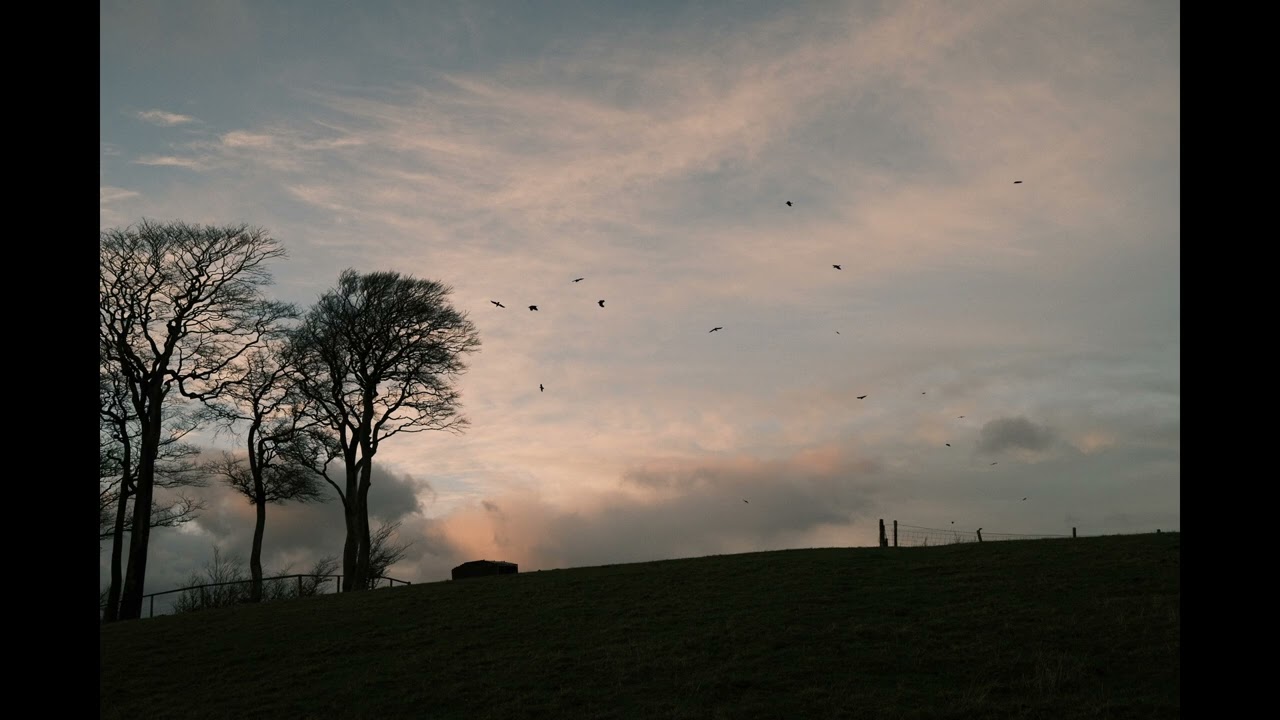Sylva - Fly Away With You