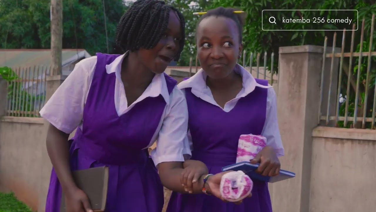 THE NEW GIRL | NEW SEASON  l   #comedy #funny #comedyskits #memes #viralvideo  #nigerianmovies