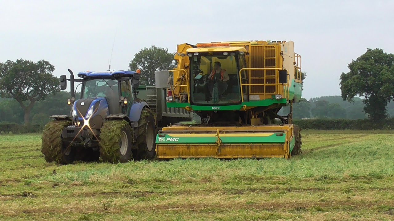 pea vining { harvesting in uggeshall suffolk 2019 }
