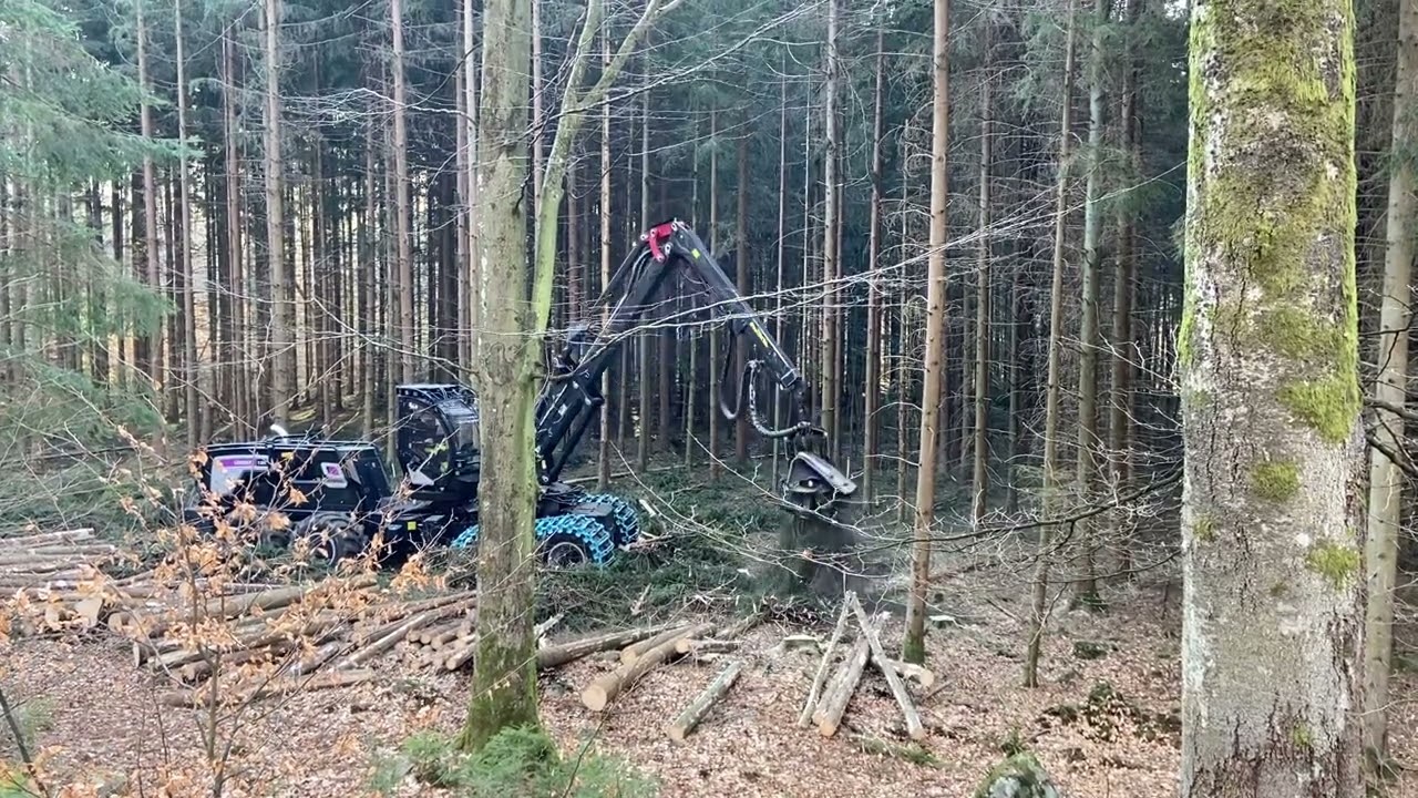 Logset 12H GTE Hybrid Demo Sk&aring;ne