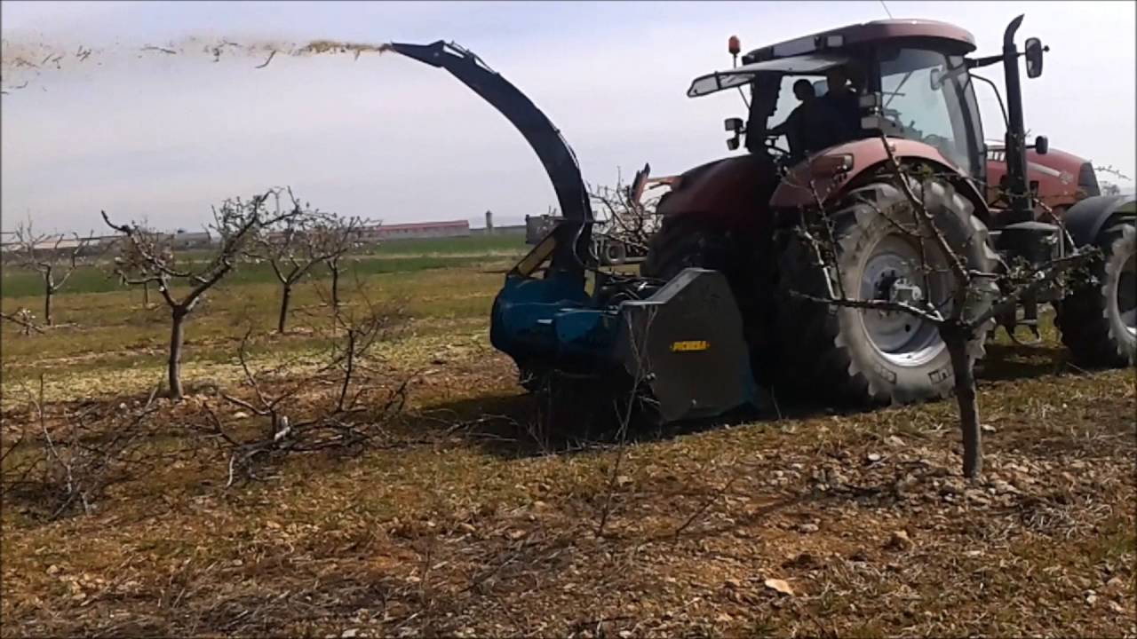 Trituradora biomasa Natura 1800 PICURSA  Rama de Almendro