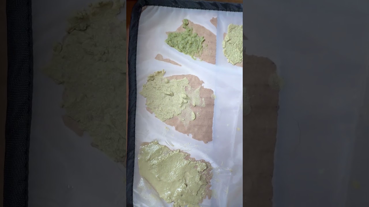 Making #bubblehash today! #micron #filter #420 #reelsinstagram #instareels #ytshorts #shortsfeed