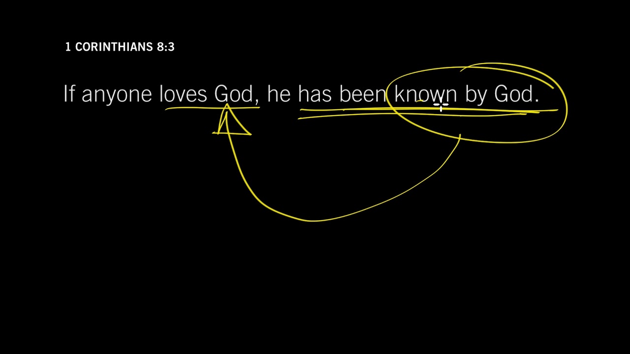 John Piper: Romans 8:29 - Foreknown by God [Episode 24]