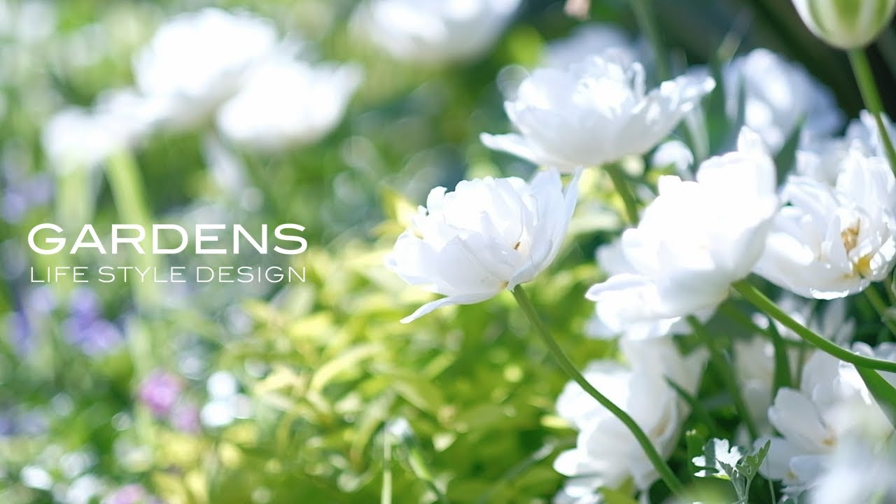 GARDENS | 春の北庭のお手入れ Maintenance of the north garden #1【ガーデンズ 】