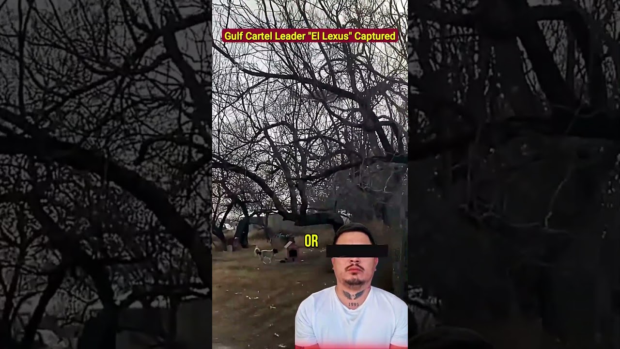 Мексиканская армия захватила лидера наркокартеля &laquo;Залив&raquo; по ​​прозвищу &laquo;Эль Лексус&raquo;.
